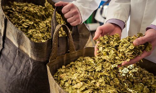 Cask ale: Britain’s original craft beer